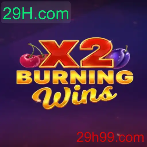 Descubra o Empolgante Mundo de BurningWinsX2 com 29H.com
